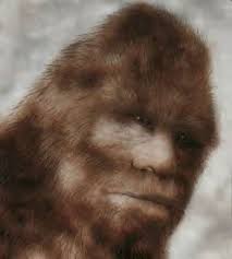 Sasquatch Busts Loose, - via Daymix