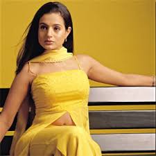 Image <b>Ameesha Patel</b>, a gold Picture