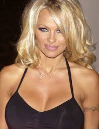 Image <b>pamela</b> <b>anderson</b> picture 1.jpg Picture