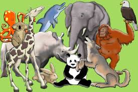 All animals and plants in a - via Daymix