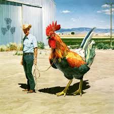 Man with a very big cock