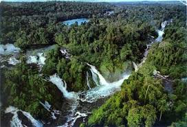 Rainforest - via Daymix