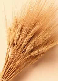 She had an aversion to gluten, - via Daymix