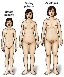 Changes During Puberty