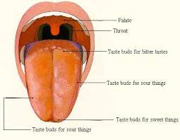 A Taste is when you determine