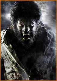 Benicio Del Toro Image <b>benicio< b> <b>del< b> <b>toro< b>01 47ed24b1b8c42 t.jpg Picture 3