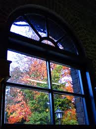 アイビー学館前の紅葉も最後。