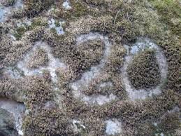 #7 Stoners love the number 420 - via Daymix