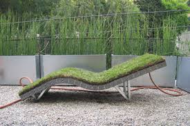 Lawn Chair covered with sod