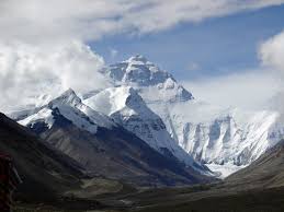 Image from Google