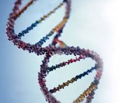 DNA test did not infringe - via Daymix