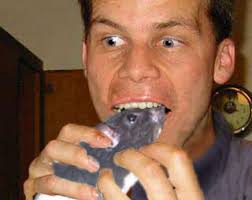 (Insect Eating) Archives