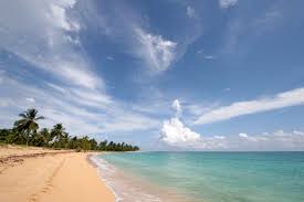 Beach and turquoise sea at