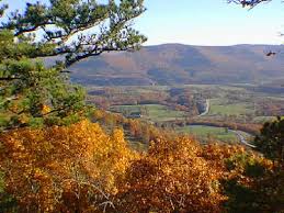 Ozark Biomass Renewable Energy - via Daymix
