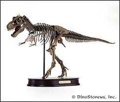Tyrannosaurus Rex - via Daymix