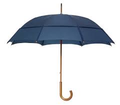 Fashion Umbrellas The Classic