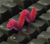 The worm does things very - via Daymix