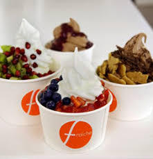 Fraiche-yogurt-250