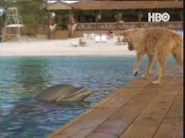 HBO - via Daymix