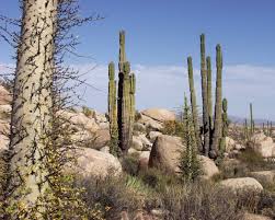 File:Baja California - via Daymix