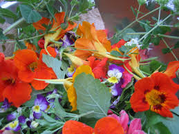 homegrown edible flowers - via Daymix