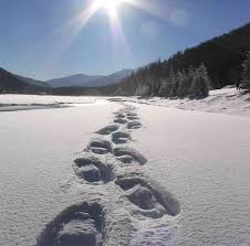  Snowshoeing 