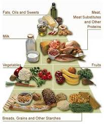   Food   Pyramid