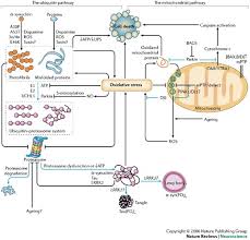 in Parkinson's disease - via Daymix