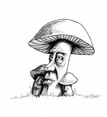 why the little mushroom
