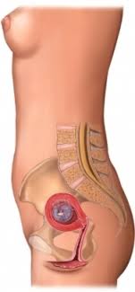 http://www.aurorahealthcare.org/healthgate/images/DZ00042_96472_1_cropped.jpeg
