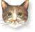 http chupan info  norsk    fitte   php