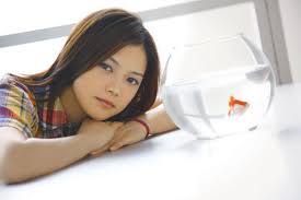 Revealed by YUI-net