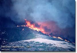 Blowing embers were starting fires