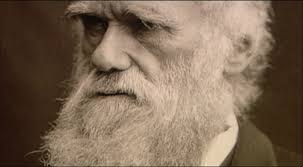 Spiritual Darwinism - via Daymix