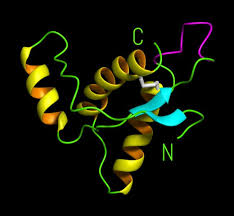 prion