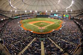 “Can”: Tampa Bay Rays Defy - via Daymix