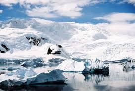 Image from Google
