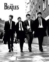 Image As <b>the</b> title says <b>Beatle</b> <b>...</b> Picture