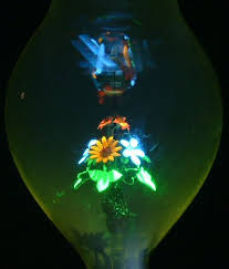 Crookes flower  tube  