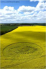   Big Brother   crop circle