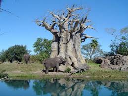   Animal Kingdom   x26lt Previous Next x26gt 