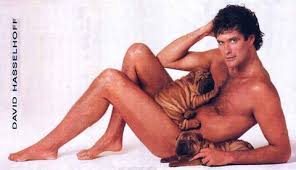 David Hasselhoff Image <b>david< b> <b>hasselhoff< b> 05.jpg Picture 4