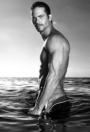 Image <b>Paul Walker Paul Walker</b> Picture
