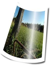 Printing digital photos mostly