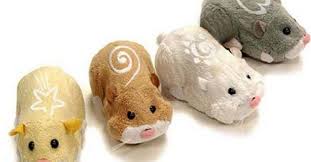 Zhu Zhu Pets, a line of - via Daymix