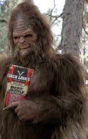 Before Sasquatch ~ The Mowglis - via Daymix