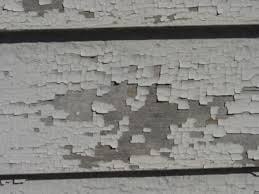   paint   removal