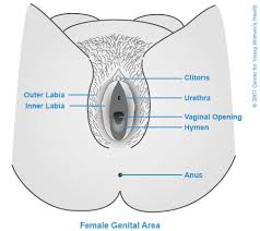 Teens with a septate hymen may