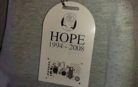 The Last Hope badge is