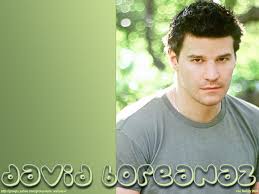 Image <b>David</b>   <b>David Boreanaz</b> Picture